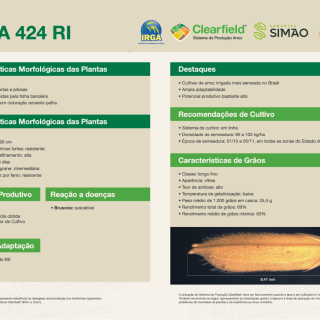 IRGA 424 RI