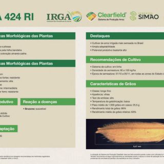 IRGA-424-RI