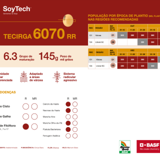 SOYTECH TECIRGA 6070 RR